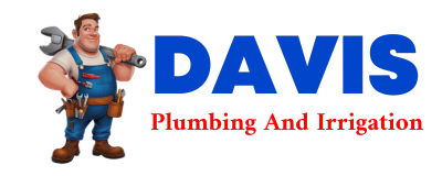 Trusted plumber in QUILCENE